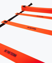 Coordination Ladder
