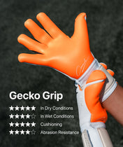 Beast 3.0 x Sergej.gk